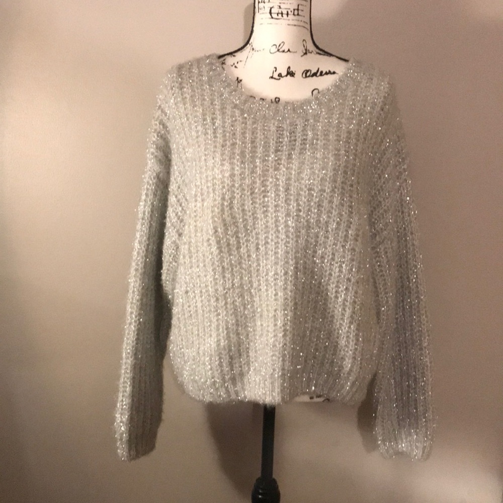 Size large Sparkly Sweater from H&M